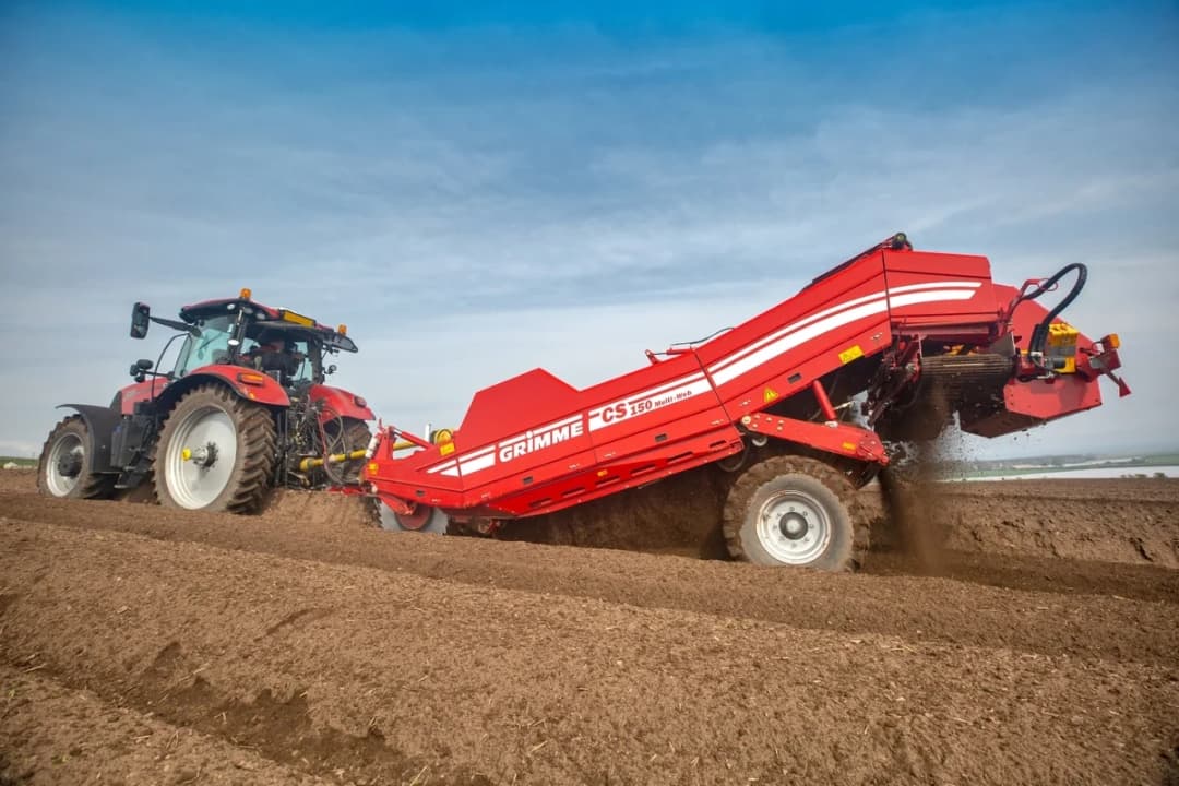 Growing potatoes in challenging soil conditions