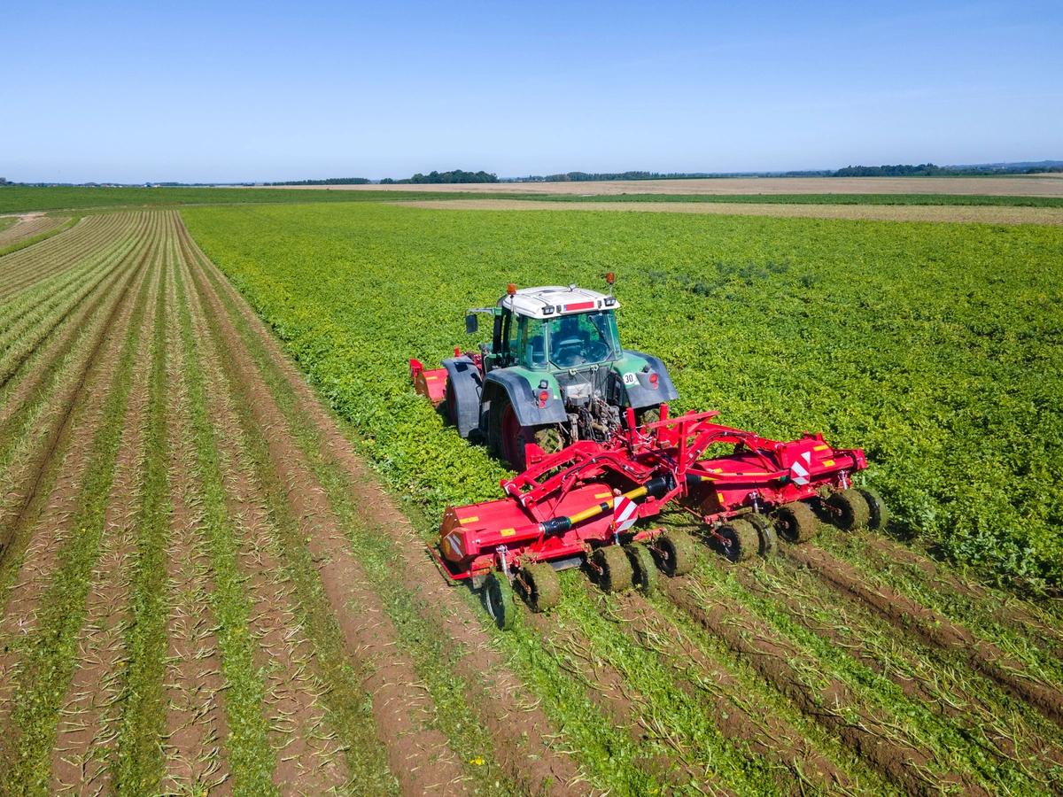 Combination of the TOPPA 200 and TOPPA 600 Combi for 6-row haulm topping.