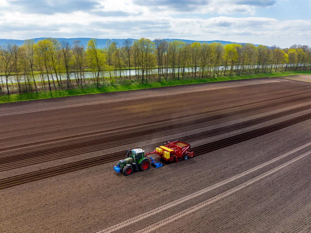 PRIOS 440 GRIMME auf einem Feld